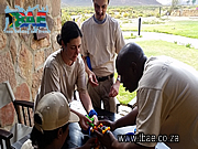 Model Replication Team Building Exercise