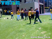 Hitting The Target Team Building