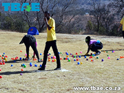 Tribal Survivor Team Building