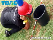 Tribal Survivor Team Building