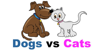 Dogs vs Cats Virtual Team Building Activities