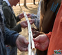 Incubator Down Team Building Exercise