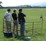 Sheep and Shepherd team building exercise